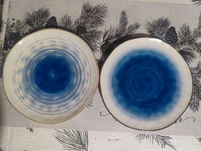 Фотография покупателя товара Тарелка Доляна «Космос», d=18.5 см, фарфор, белая, синяя - Фото 12