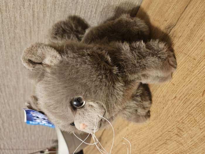 Фотография покупателя товара Мягкая игрушка «Кот», 23 см - Фото 1