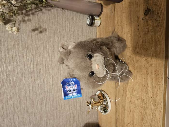 Фотография покупателя товара Мягкая игрушка «Кот», 23 см - Фото 2