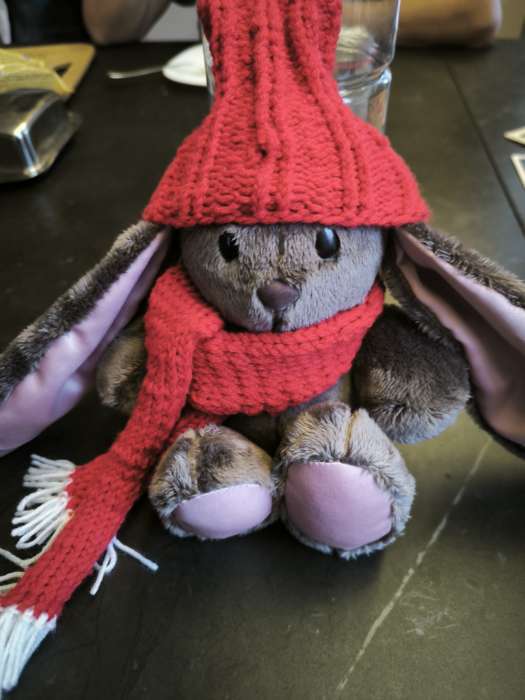 Фотография покупателя товара Мягкая игрушка «Зимняя Li», заяц, 25 см - Фото 1