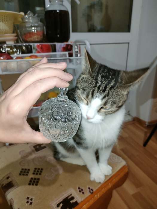 Фотография покупателя товара Сахарница «Льдинка», 80 мл, 6.5×9 см, стекло, прозрачная - Фото 2