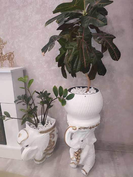 Фотография покупателя товара Фигура-подставка для мелочей «Слон сидя», столик под бронзу, 33×26×44 см - Фото 1