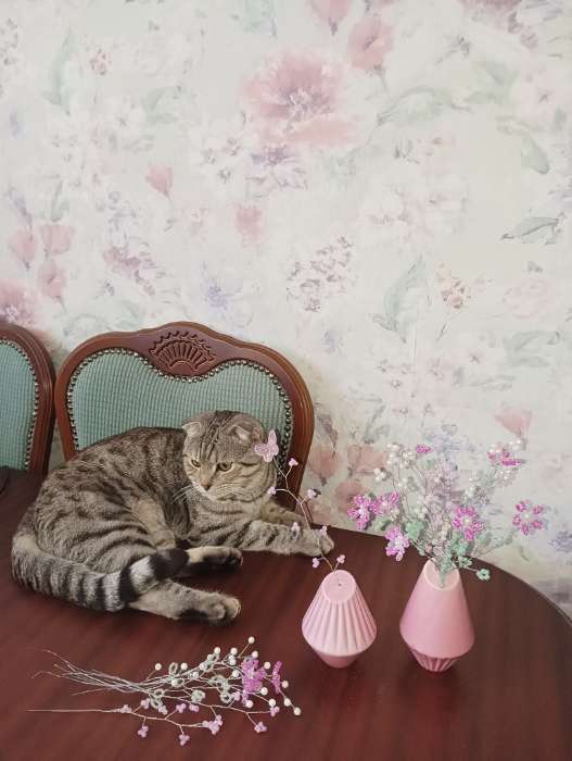 Фотография покупателя товара Солонка и перечница «Геометрия», 14.5×10.8 см, голубые - Фото 2