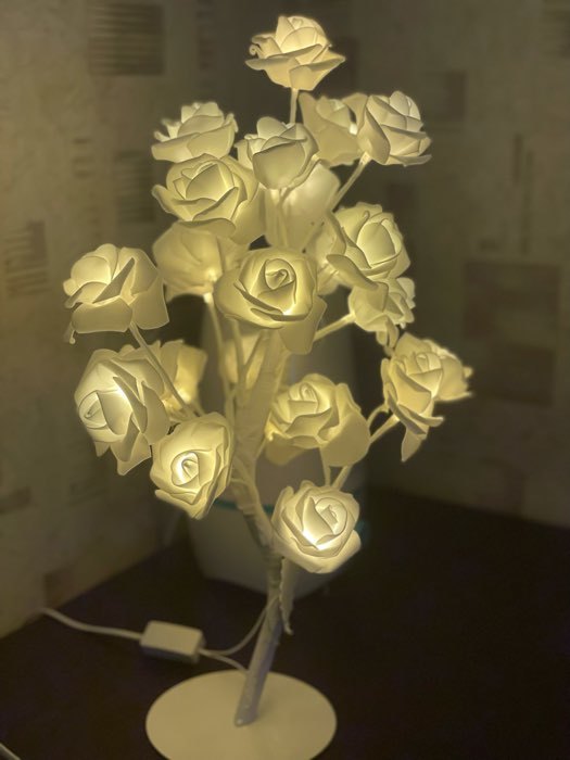 Фотография покупателя товара Светодиодный куст «Розы белые» 45 см, 24 LED, постоянное свечение, 220 В, свечение белое - Фото 6