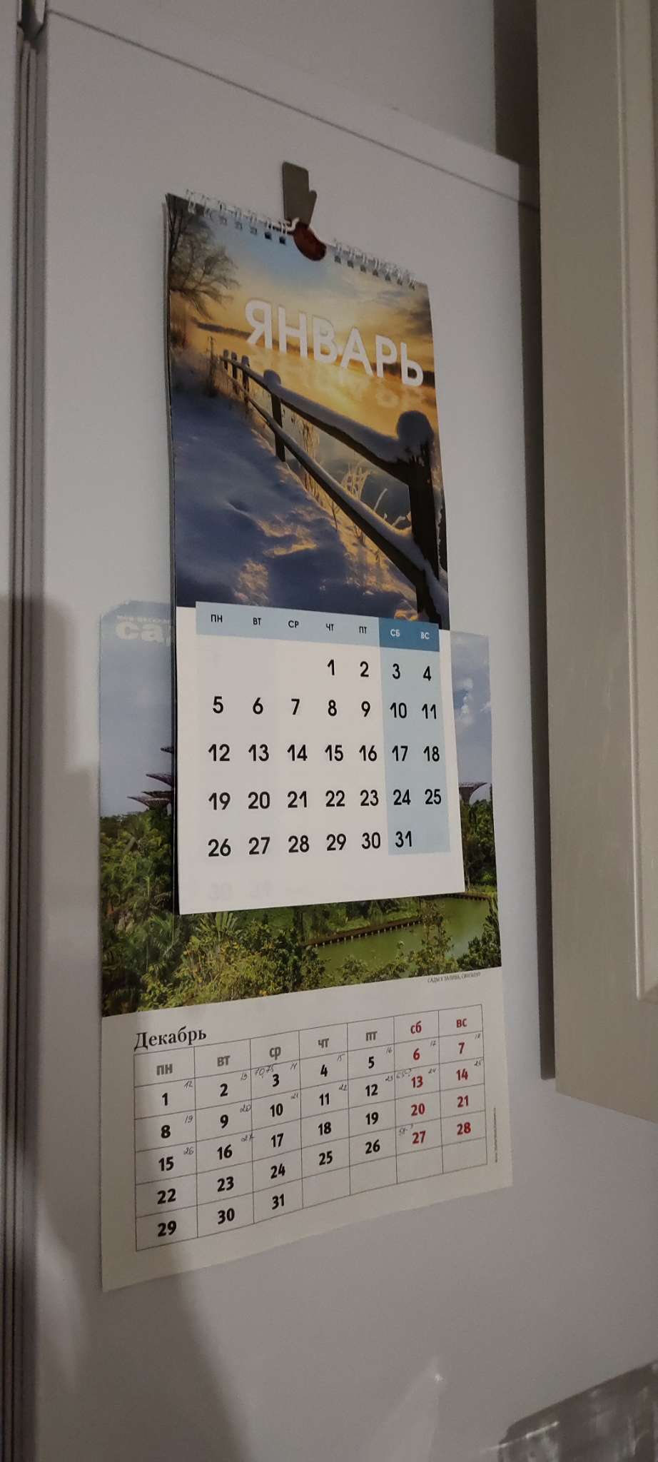 Фотография покупателя товара Календарь 2026 на ригеле «Садово-огородный» 16.5×34 см - Фото 1