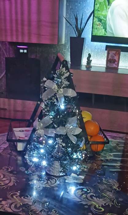 Фотография покупателя товара Искусственная ёлка настольная «Зимнее волшебство. Новогодний восторг», 30 см, пуансетия серебро, ветки ПВХ отгибаются - Фото 1