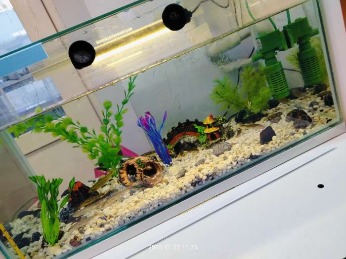 Фотография покупателя товара Аквариум Прямоугольный «Аваскейп» прозрачный шов, 54 литра, 60×30×30 см - Фото 5