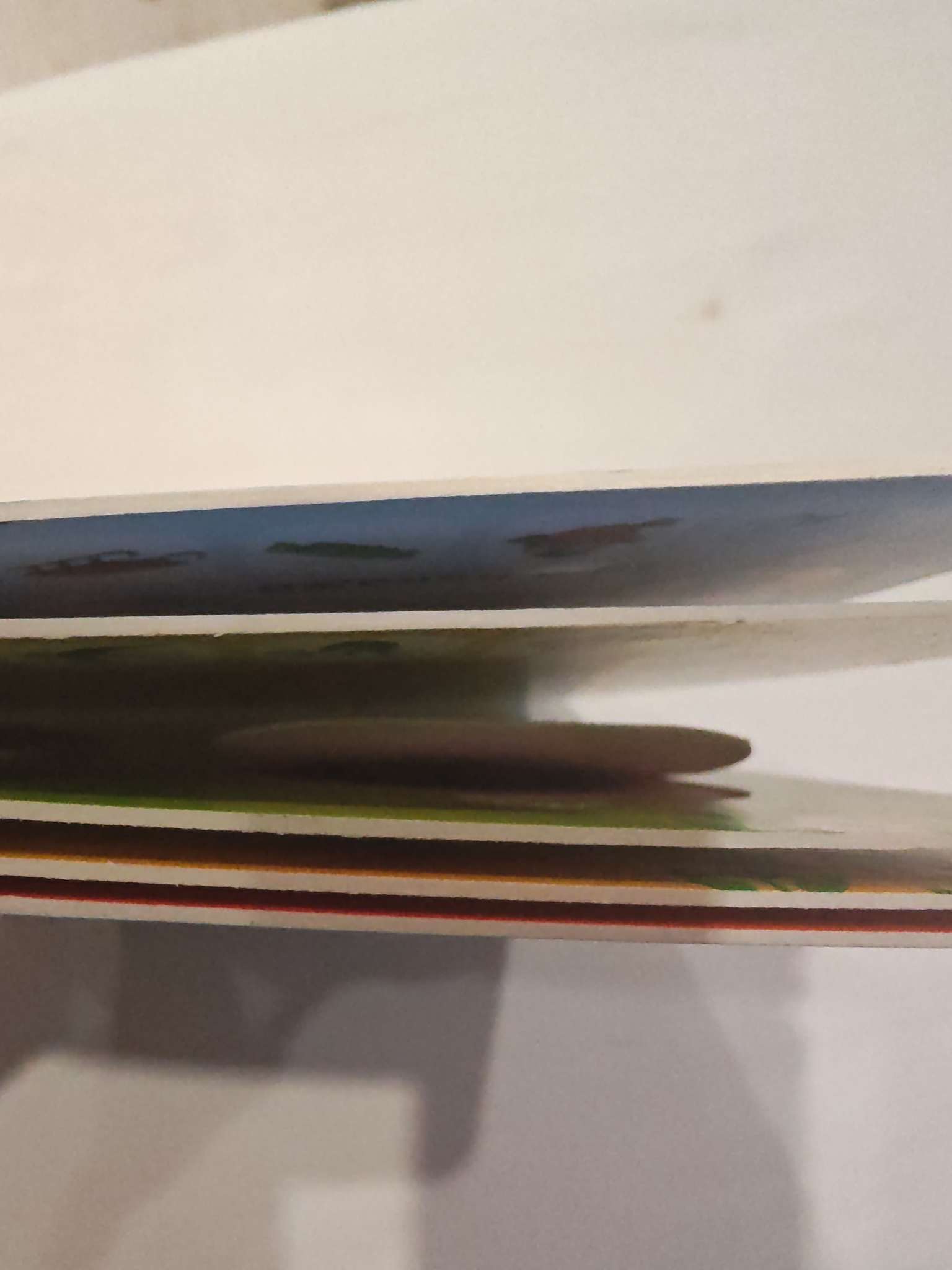 Фотография покупателя товара Книга картонная с окошками «Угадай кто?» 10 стр. - Фото 6