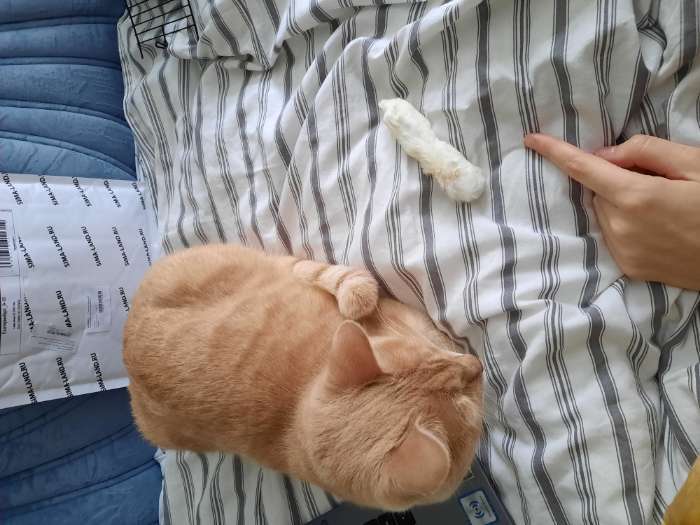 Фотография покупателя товара Игрушка-лакомство TitBit для кошек, лапка пушистая, 16 г