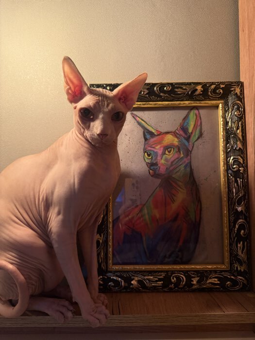 Фотография покупателя товара Рама для картин (зеркал) 21×30×4 см, дерево «Версаль», золотая - Фото 1