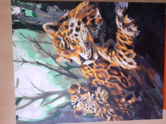 Фотография покупателя товара Картина по номерам на холсте с подрамником «Леопарды. Мама и малыш», 40 х 50 см - Фото 1