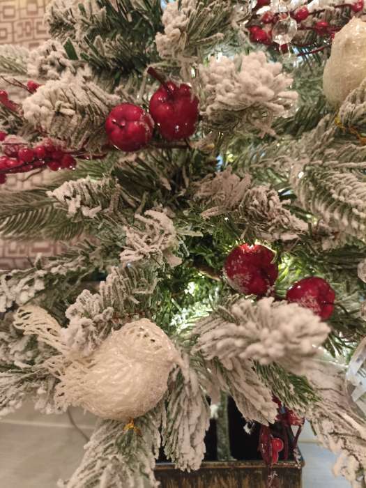 Фотография покупателя товара Ёлочные игрушки 2 шт. «Зимнее волшебство. Птички снежные» пластик, 6×3.5 см, белый - Фото 1