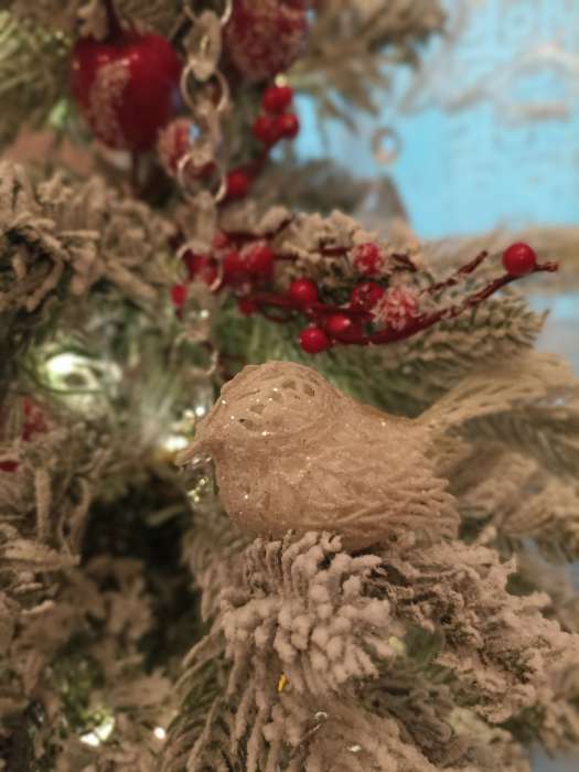 Фотография покупателя товара Ёлочные игрушки 2 шт. «Зимнее волшебство. Птички снежные» пластик, 6×3.5 см, белый - Фото 2