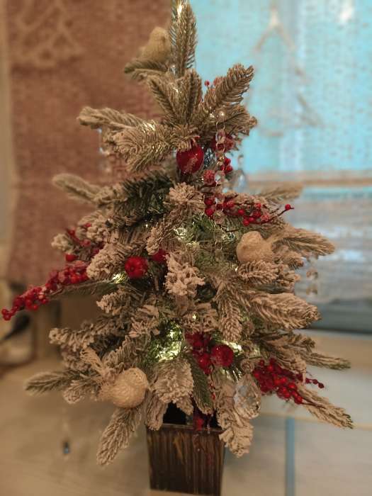 Фотография покупателя товара Еловая ветка декоративная «Зимнее волшебство. Очарование», 22 см - Фото 1