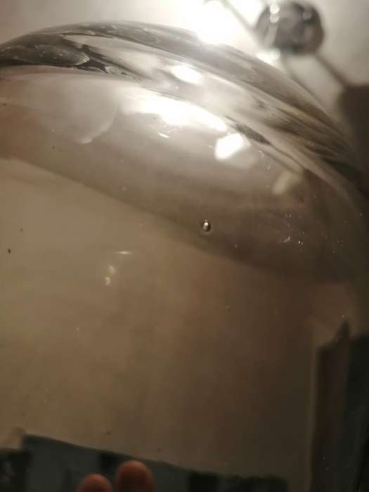 Фотография покупателя товара Стеклянный купол-клош на деревянной подставке "Венсан - 1", 25х15 см, белый - Фото 9