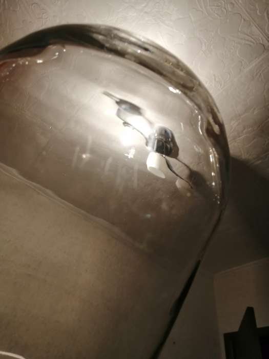 Фотография покупателя товара Стеклянный купол-клош на деревянной подставке "Венсан - 1", 25х15 см, белый