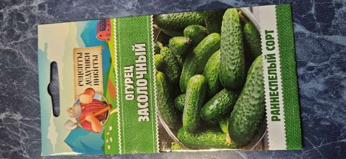 Фотография покупателя товара Семена Огурец «Засолочный», 0.5 г, «Рецепты дедушки Никиты» - Фото 2