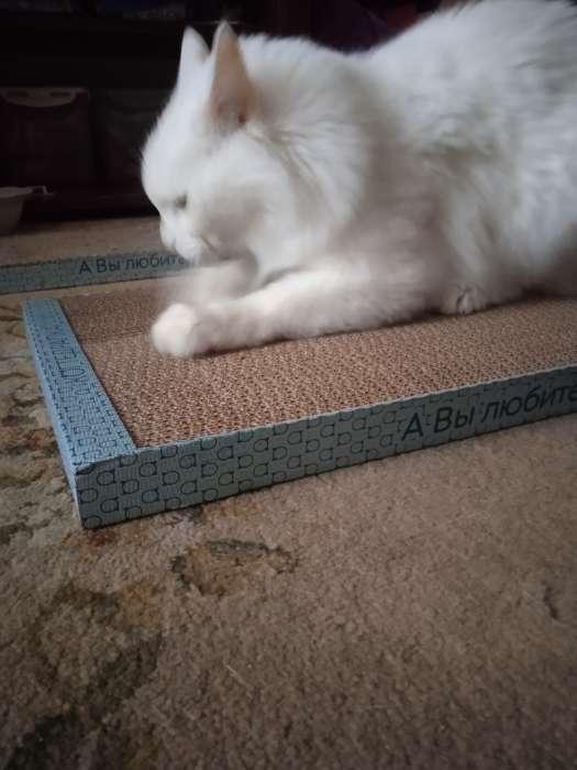 Фотография покупателя товара Домашняя когтеточка-лежанка для кошек, 56×30 см, гофрокартон - Фото 2