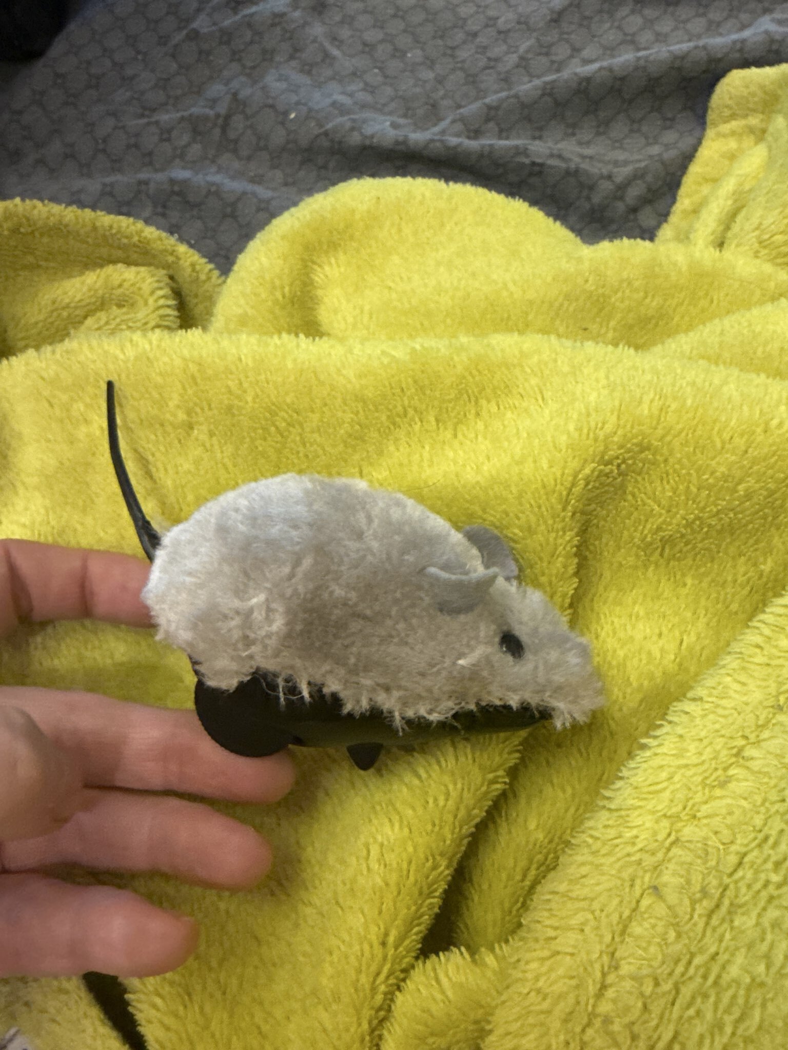 Фотография покупателя товара Мышь заводная малая, 8.5 см, искусственный мех, серая - Фото 10