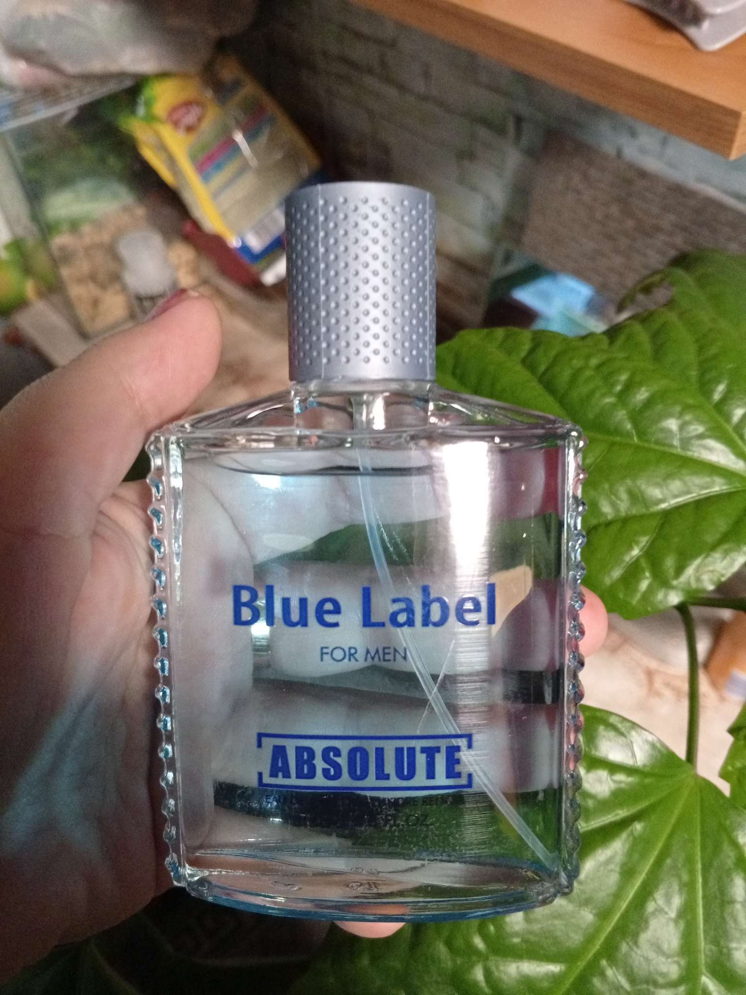 Фотография покупателя товара Туалетная вода мужская Absolute Aqua, 100 мл (по мотивам Acqua Di Gio (G.Armani) - Фото 1