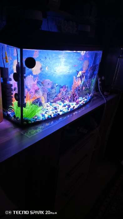 Фотография покупателя товара Аквариум «Телевизор» с крышкой, 75 литров, 72.5×26.5×37/42 см, чёрный - Фото 1