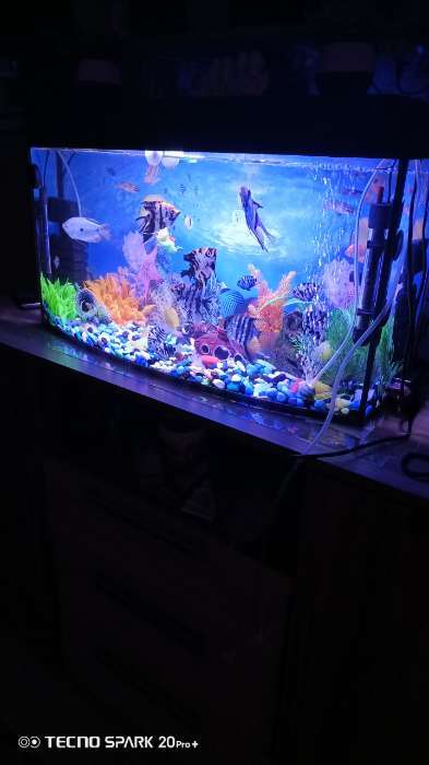 Фотография покупателя товара Аквариум «Телевизор» с крышкой, 75 литров, 72.5×26.5×37/42 см, чёрный - Фото 2