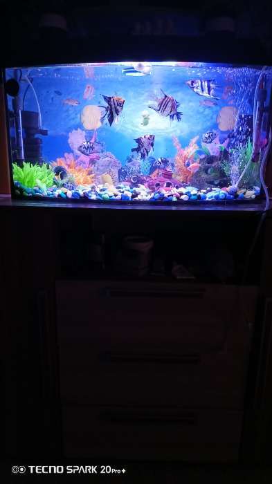 Фотография покупателя товара Аквариум «Телевизор» с крышкой, 75 литров, 72.5×26.5×37/42 см, чёрный - Фото 3