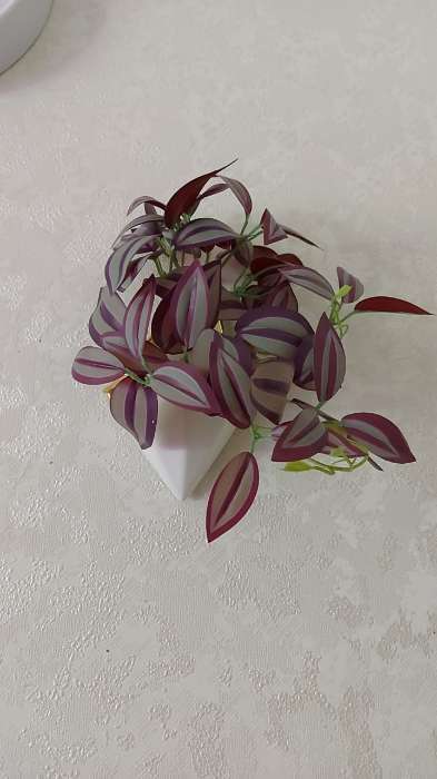 Фотография покупателя товара Искусственный цветок в горшке «Традесканция галант», 7.5×17 см - Фото 1