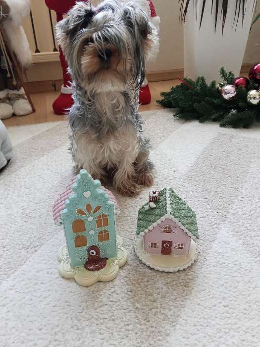 Фотография покупателя товара Фигурка полистоун «Пряничный домик голубой с розовой крышей», 13×13×20 см - Фото 7