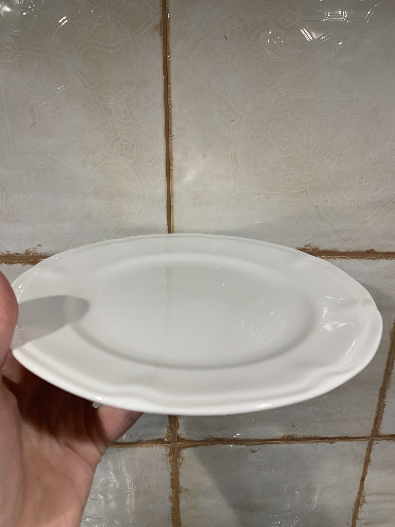 Фотография покупателя товара Тарелки WY Renessans, набор 2 шт., d=20 см, фарфор, белые - Фото 1