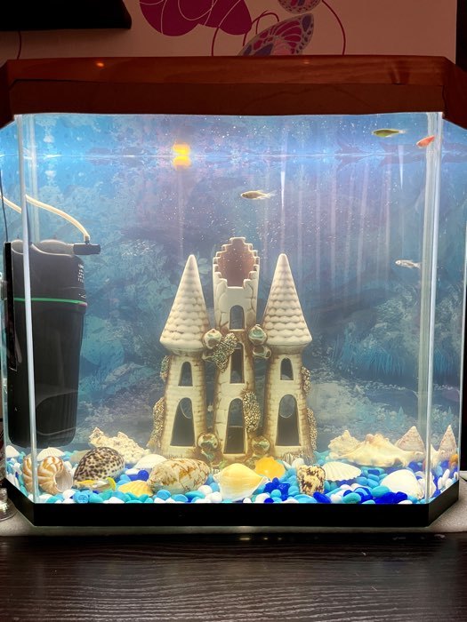 Фотография покупателя товара Грунт для аквариума "Галька цветная,  голубой-синий-белый-бирюзовый" 800г фр 8-12 мм - Фото 8