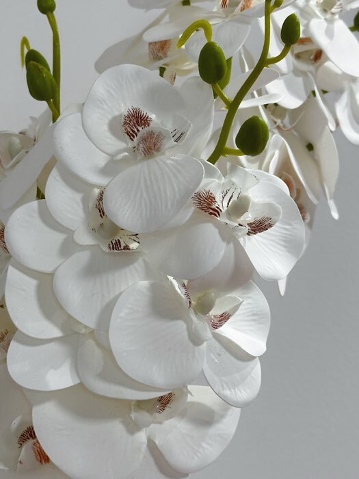 Фотография покупателя товара Цветы искусственные «Орхидея экстра галант», h=60 см, d=8 см, белые - Фото 2