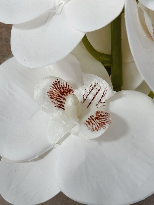 Фотография покупателя товара Цветы искусственные «Орхидея экстра галант», h=60 см, d=8 см, белые - Фото 3