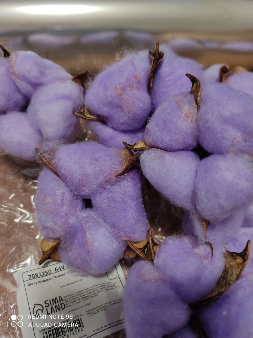 Фотография покупателя товара Декор сухоцвет "Хлопок" d-5 см, 5 см, фиолетовый - Фото 26