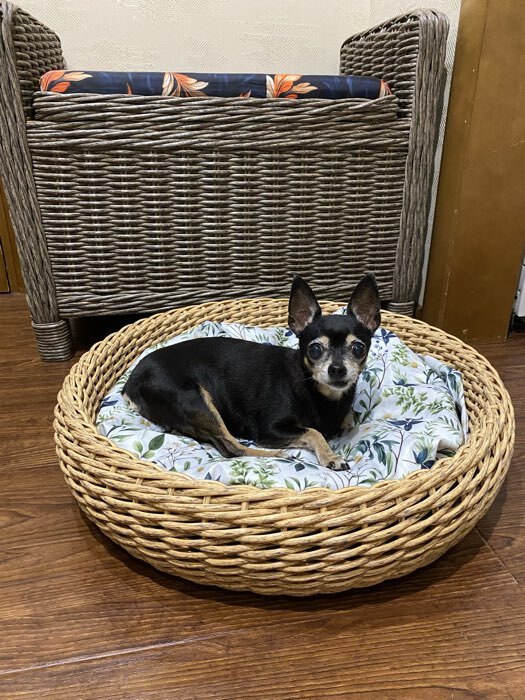 Фотография покупателя товара Таз строительный, 60-65 л, круглый, пластик - Фото 2