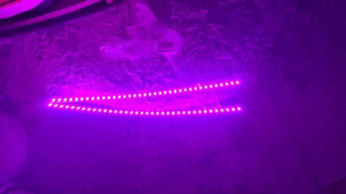 Фотография покупателя товара Светильник линейный для растений, 7 Вт, 0.5 м, 36 LED, 12 В, SMD5630, на клеевой основе, мультиспектральный - Фото 1