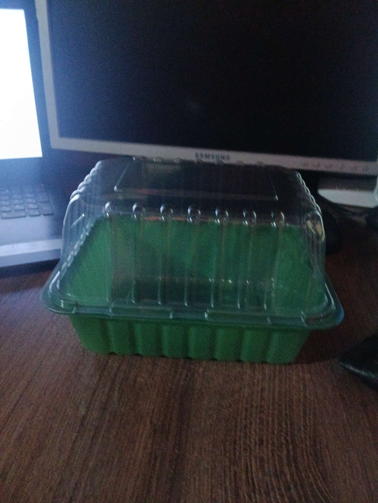 Фотография покупателя товара Мини - парник для рассады, 21×16×12, без вставок, пластик, Greengo - Фото 1