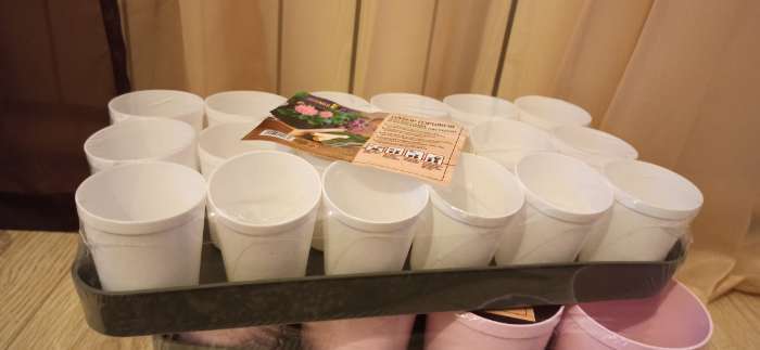 Фотография покупателя товара Набор для рассады: стаканы по 250 мл (18 шт.), поддон 40 × 20 см, цвет МИКС, Greengo - Фото 7
