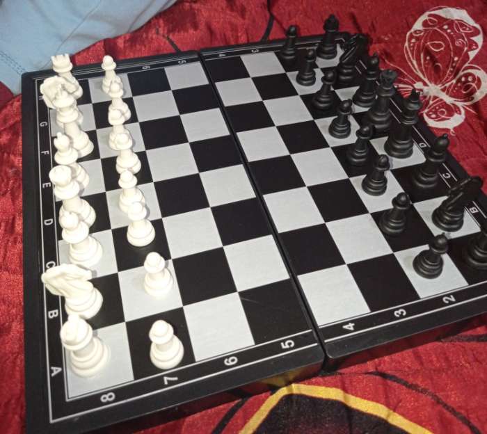 Фотография покупателя товара Шахматы магнитные, доска 24.5 х 24.5 см - Фото 4
