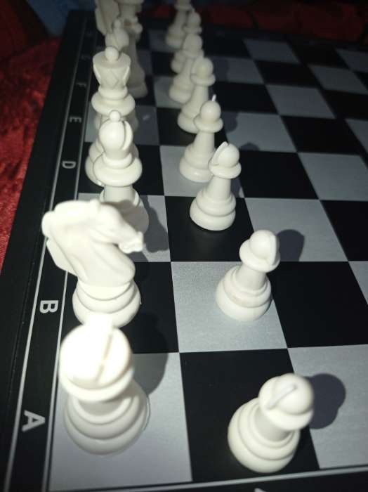 Фотография покупателя товара Шахматы магнитные, доска 24.5 х 24.5 см