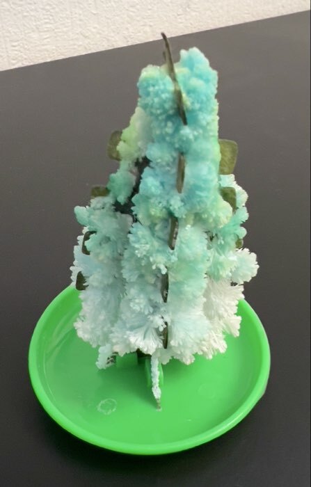 Фотография покупателя товара Выращивания кристалла «Волшебное дерево», цвет зелёный