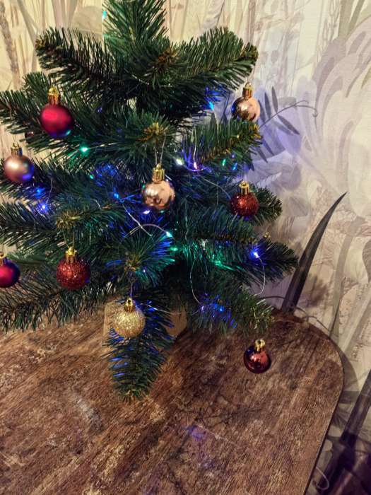 Фотография покупателя товара Гирлянда «Нить» 5 м роса, IP20, серебристая нить, 50 LED, батарейки CR2032×2 (в комплекте), свечение мульти - Фото 1