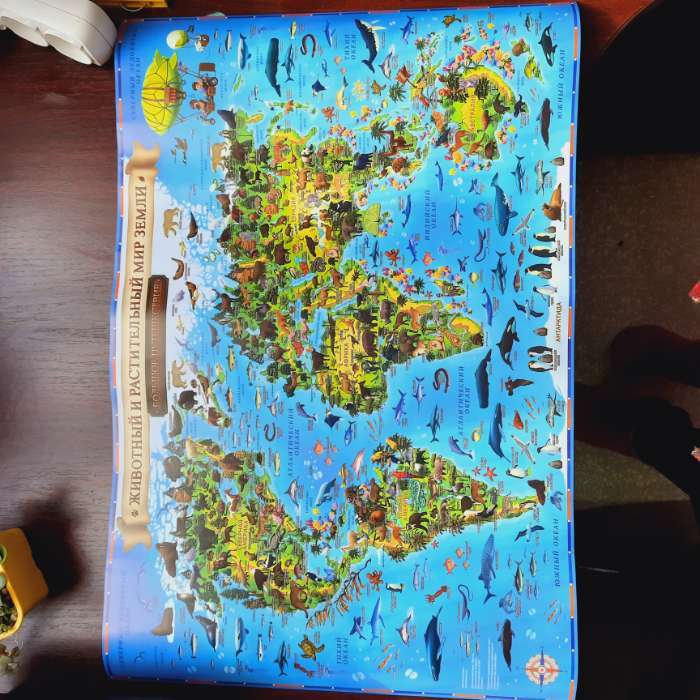 Фотография покупателя товара Географическая карта Мира для детей "Животный и растительный мир Земли", 60 х 40 см, без ламинации