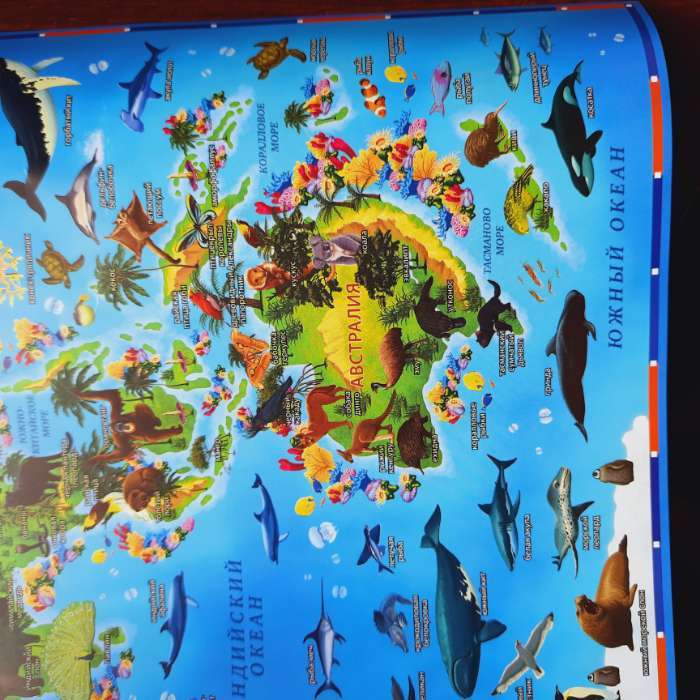 Фотография покупателя товара Географическая карта Мира для детей "Животный и растительный мир Земли", 60 х 40 см, без ламинации