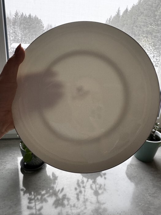 Фотография покупателя товара Тарелки SL Home «Каскарон», d=23.3 см, набор 2 шт., костяной фарфор, белые - Фото 1