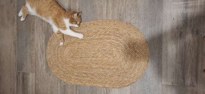 Фотография покупателя товара Ковер SL Home Паджа 50×80 см - Фото 1