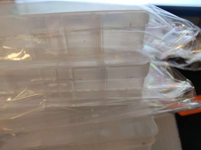 Фотография покупателя товара Органайзер для хранения мелочей, 8 ячеек, 10.6×6.5×2.3 см, прозрачный - Фото 2