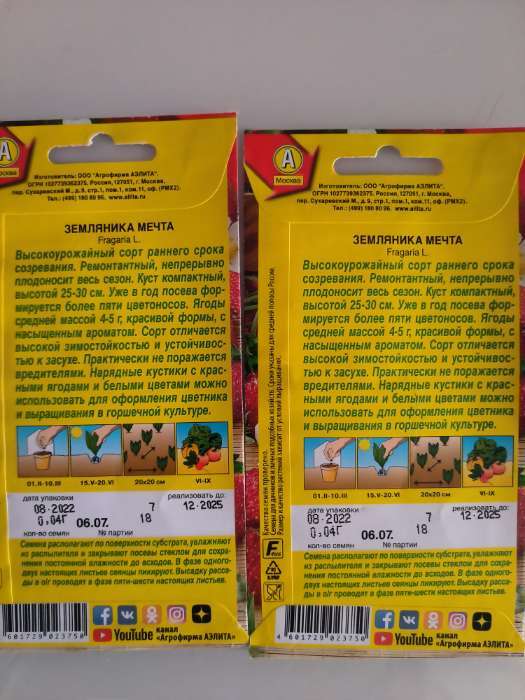 Фотография покупателя товара Семена Земляника «Мечта», альпийская, 0.04 г, «Аэлита» - Фото 2