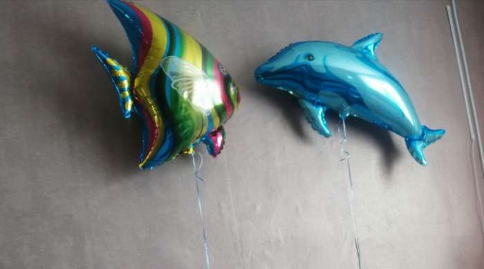 Фотография покупателя товара Шар фольгированный 37" «Дельфин», цвет голубой - Фото 2