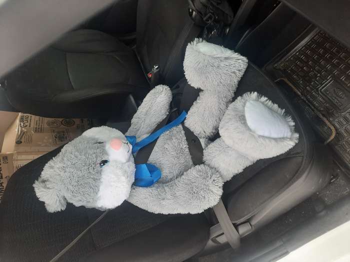 Фотография покупателя товара Мягкая игрушка «Заяц Проша», цвет серый, 100 см - Фото 1